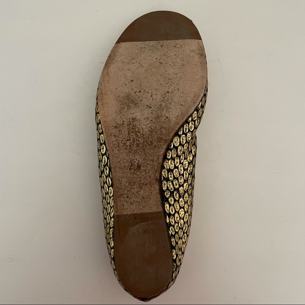 Lanvin Ballet Flats • Lanvin Ballet Flats - Picture 2 of 3
